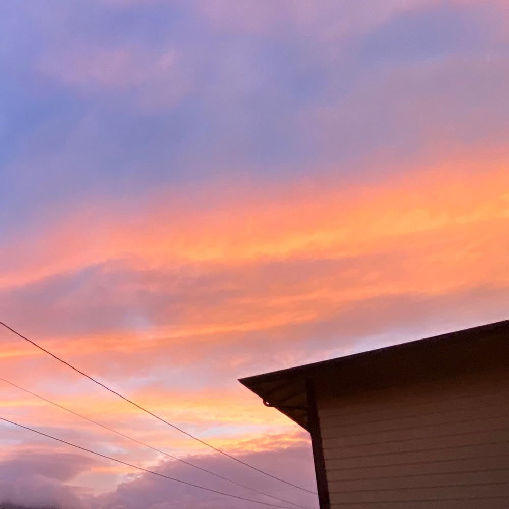 Meet your Posher, Maddie